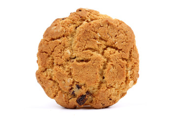Cranberry cookie on white background