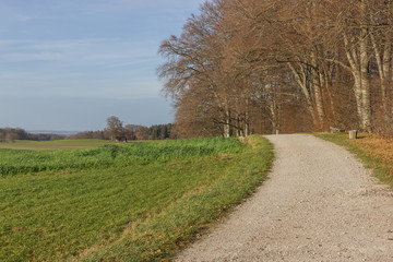 Obraz premium Waldlandschaft bei Erlau-Andechs im Herbst