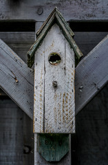 Angles and Birdhouses