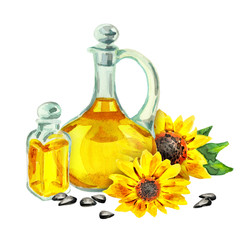 Sunflower organic oil. Watercolor