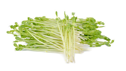 Snow pea sprouts on white background