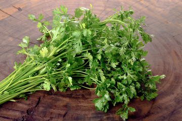  Coriandrum sativum on wood