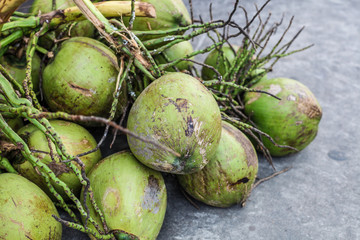 Coconut fruits | Organic fresh nature summer food in Thailand