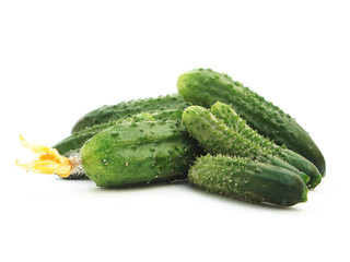 cucumber isolated