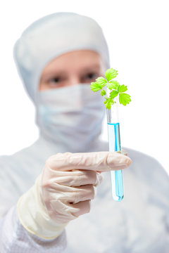 Worker in a sterile protective clothing, and a sample of plants in test tube