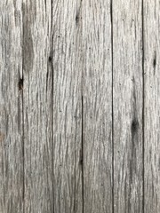 Wood background