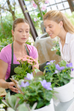 Florist with customer