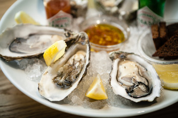 Oysters on a plate