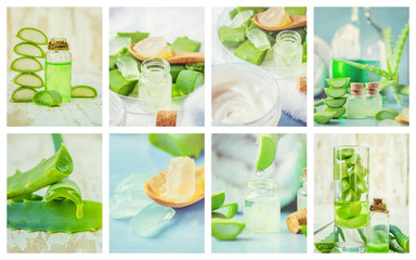 Aloe Vera extract in a small bottle and pieces on the table. Collage of many photos. Selective...