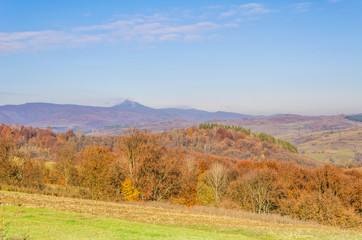 Autumn landscape, trees with colorful leaves, frost on green grass, autumn mountain in fog in the background.