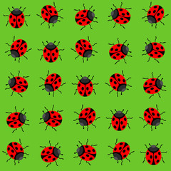 Seamless pattern. Vector illustration of ladybird on green background