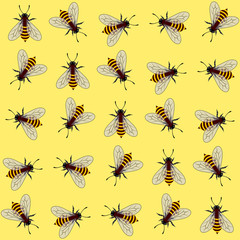 Seamless pattern. Vector illustration of bee on yellow background