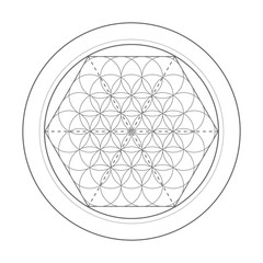 Flower Of Life symbol. Sacred geometry vector illustration