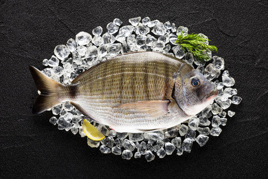 Fresh spanish bream fish (sargo) on ice on a black stone table top view