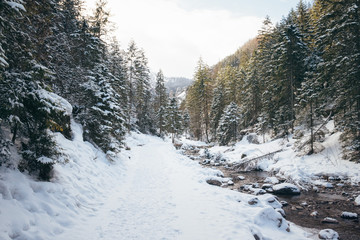 Strazyska Valley near Zakopane in Winter, Tatra Mountains, Poland