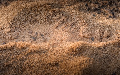 Black ants nest in desert,an anthill