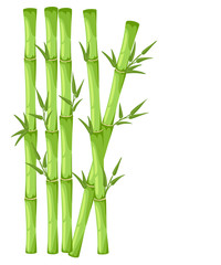 Naklejka premium Bamboo with leaf vector illustration. Asian bambu zen plants background
