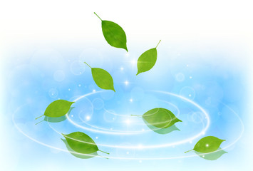 新緑　葉　緑　背景