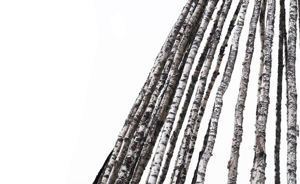 House of birch tree trunks drawn up cone (Tent Scaffolds), isolated on a white background. Wigwam, tent, teepee, yurt, kibitka