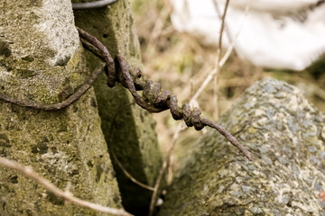 the gate