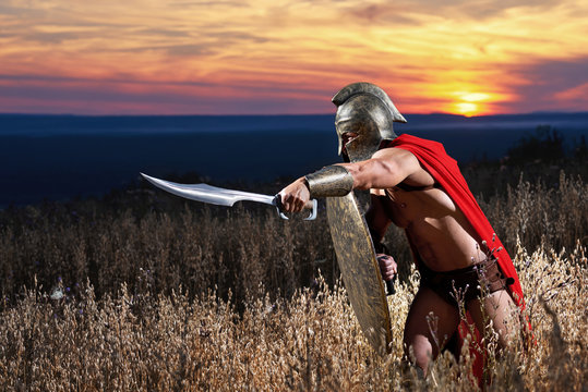 Fearless young Spartan warrior posing in the field 