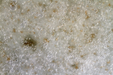 bubbles on the surface of the ice