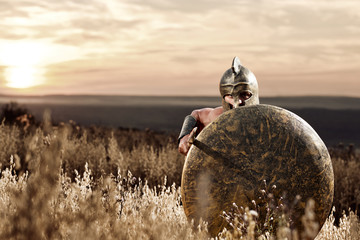 Fearless young Spartan warrior posing in the field  - obrazy, fototapety, plakaty