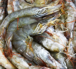 Fresh raw shrimp isolated on the white background