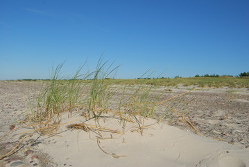 Slowinski Park Narodowy, Mierzeja Lebska.