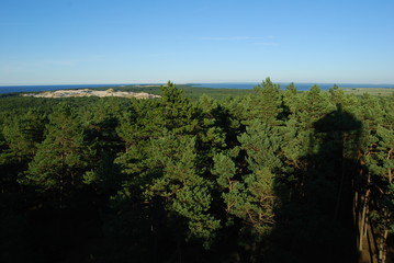 Slowinski Park Narodowy, Wydma Czolpinska.