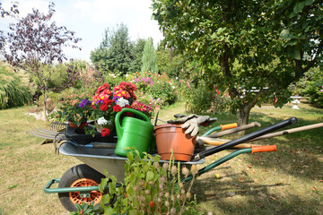 Garten 750 © K.-U. Häßler
