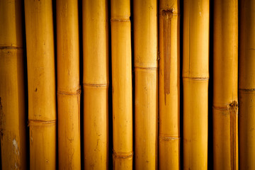 Fototapeta premium Yellow bamboo textured background.