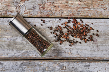 Black peppercorns in pepper mill. © margostock