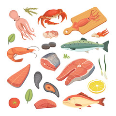Vector Seafood illustrations set flat fresh fish and crab. Lobster and oyster, shrimp and menu, octopus animal, shellfish lemon