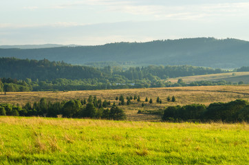 Fototapeta na wymiar Landscape with meadows and hills
