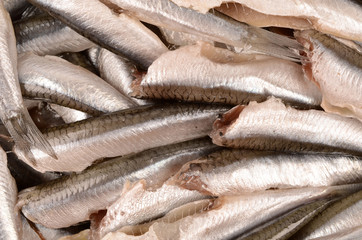 Fresh anchovies closeup