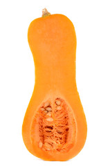 pumpkin on a white background