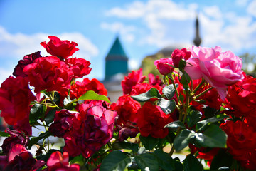 &Ccedil;evre g&uuml;zelliği