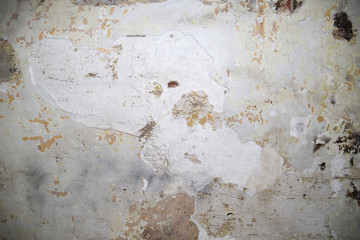 texture of old cement wall