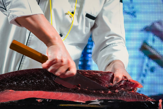 Japanese "Sashimi" chef preparing a fresh Maguro (giant tuna fish) 