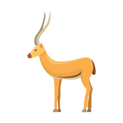 Antelope isolated on white background. African animal in cartoon style.