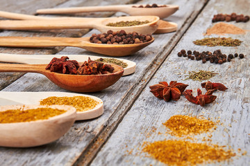 Spices of anise, thyme, pepper and curry in wooden spoons. I