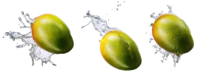 Water splash and fruits isolated on white backgroud. Fresh mango