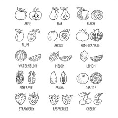 Fruit hand drawn icon set in line style