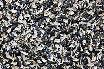 husk sunflower seeds