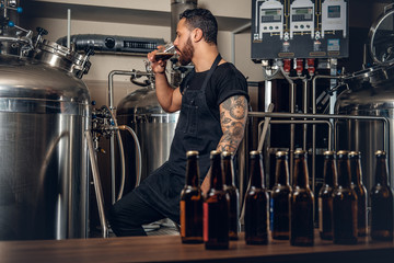 Black male manufacturer tasting beer in the microbrewery.