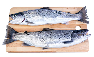 Fresh sea trouts on the wooden board