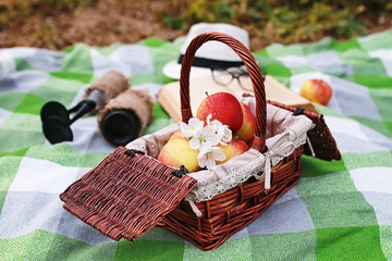 book and basket with food on plaid picnic in park