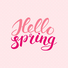 Fototapeta na wymiar Phrase Hello spring Brush Pen lettering isolated on background. Handwritten vector Illustration.