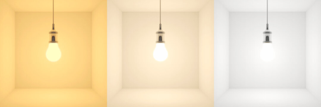  3d Image Which Displays The Color Temperature Difference Of Various Lights. Cold, Neutral And Warm Shades Comparisons.